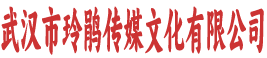 武汉市玲鹃传媒文化有限公司